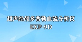 超聲經顱多普勒血流分析